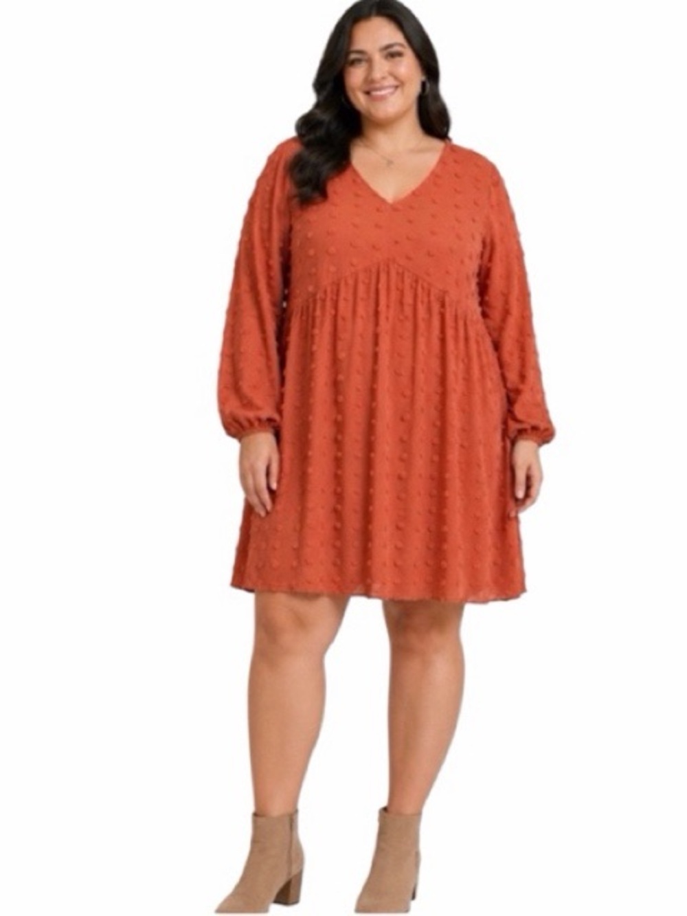 Miholl Chiffon Swiss Dot Long Sleeve Mini Dress